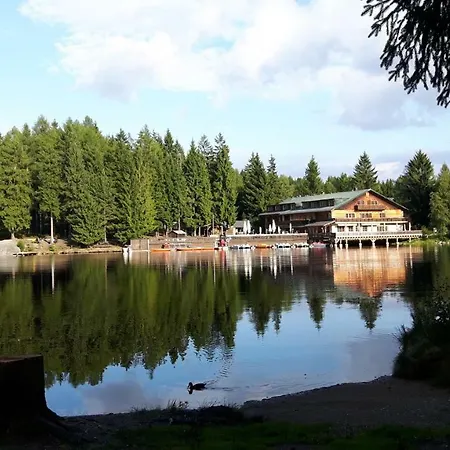 Im Fichtelgebirge Nyaraló *